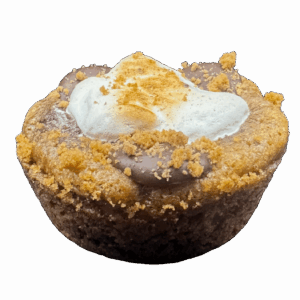 Cookie with chocolate chips and marshmallow on top.