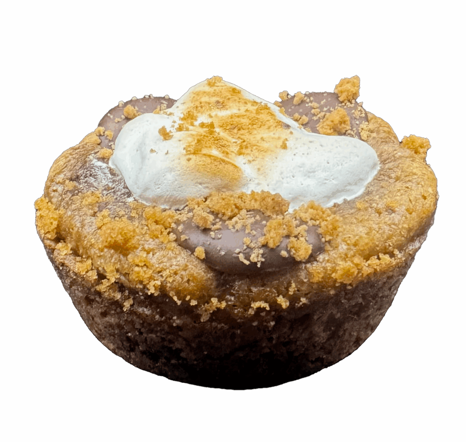 Cookie with chocolate chips and marshmallow on top.